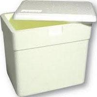 Caixa Térmica de Isopor 50 lts