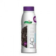 Iogurte zero lactose, sem açucar sabor ameixa Verde Campo 500g