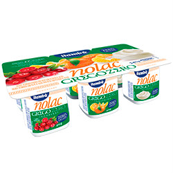 Iogurte grego zero sem lactose sabores sortidos Itambé 540g