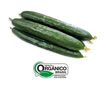 Pepino japonês Orgânico 400g