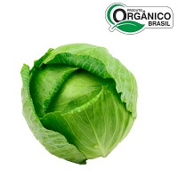 Repolho verde orgânico 400g